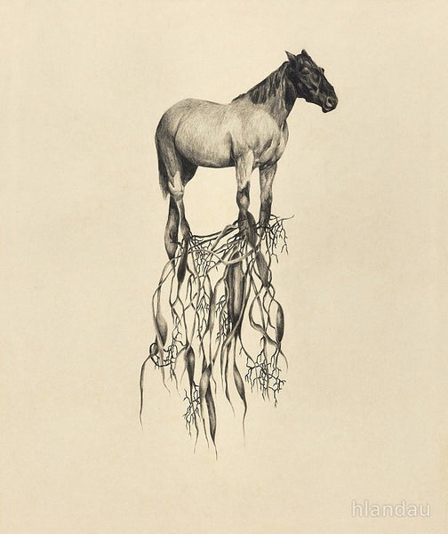 Heidi Landau Uprooted