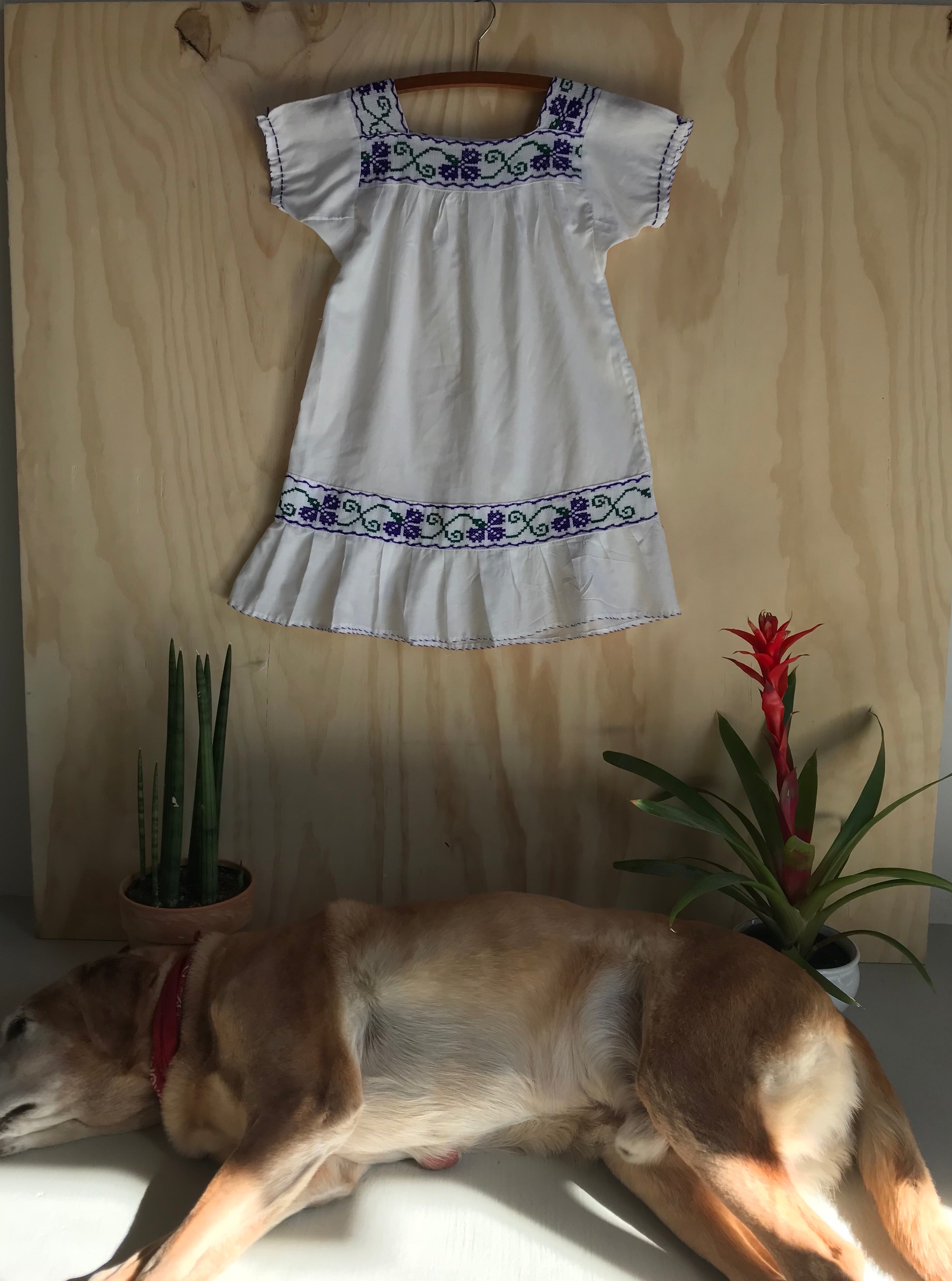 Girls' Flower & Vine Puebla Dress